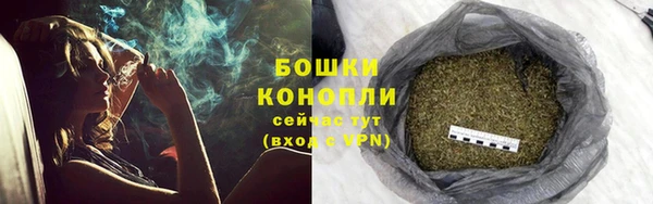 эйфоретик Сафоново