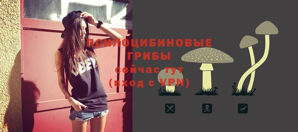 эйфоретик Сафоново