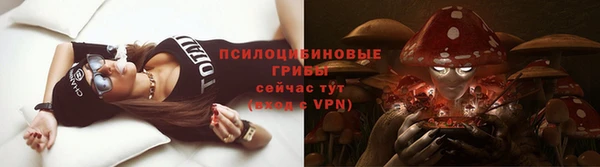 ECSTASY Саяногорск