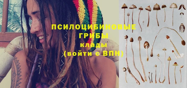 эйфоретик Сафоново