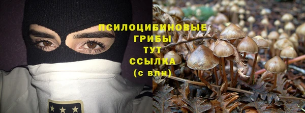 марки nbome Сатка