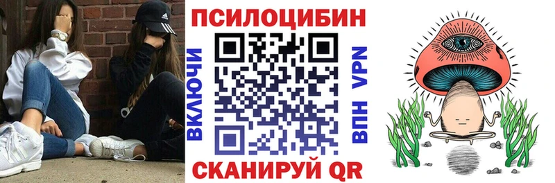 наркотики  Чудово  Галлюциногенные грибы Psilocybe 